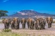Ol Tukai Lodge, Amboseli National Park